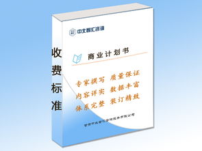 白銀地區(qū)專業(yè)商業(yè)計劃書編制指南與文化經(jīng)紀人服務(wù)