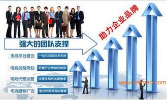 湖南網店美工設計、代運營與網絡營銷策劃 一站式電商服務解決方案